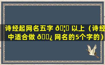 诗经起网名五字 🦊 以上（诗经中适合做 🌿 网名的5个字的）